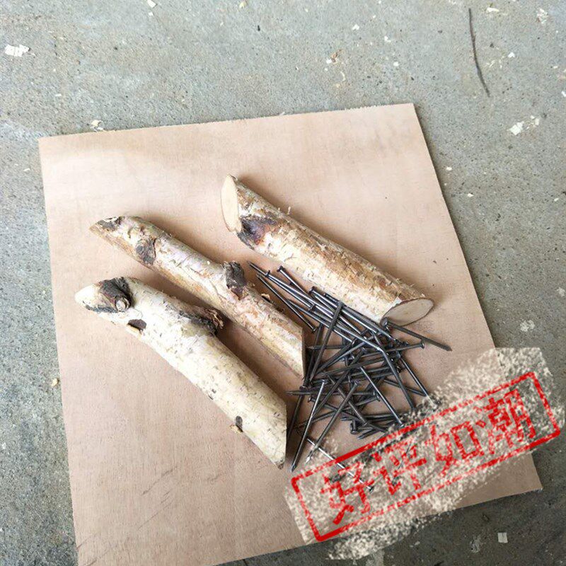 木板底板底座底座木板白桦树固定底座底板装饰树固定底座底板装饰
