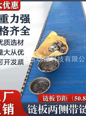 OPB节距50.8平板网带两侧加不锈钢链条pp食品级塑料链板输送带