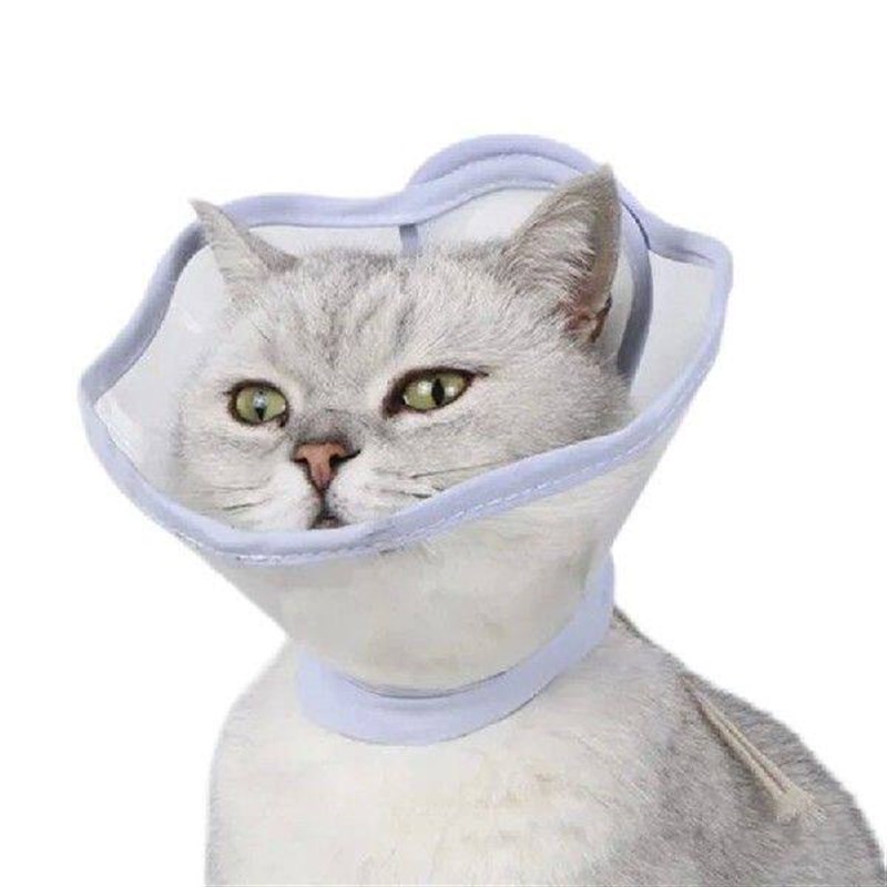 448B Clear Cone Collar Aid in Recovery and Prevent Licking - 实物图
