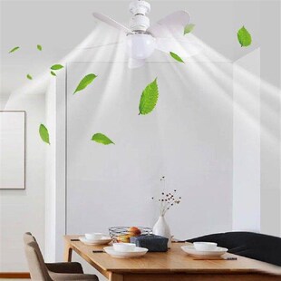 30W LED Light Ceiling Fan with Remote Control Ceiling Fans