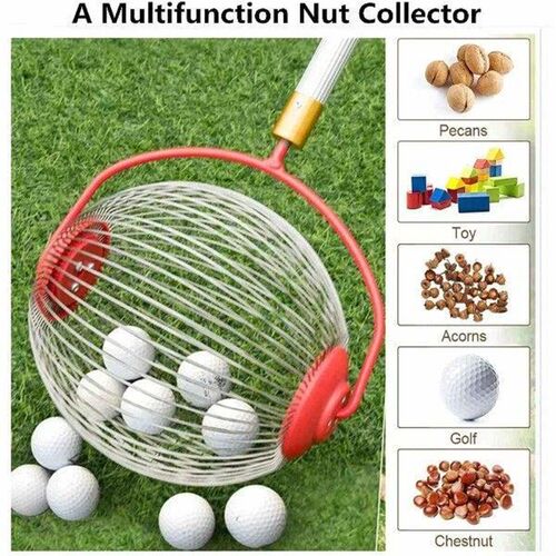 Nut Gatherer Fruit Collector Garden Nut Fruit Picker For