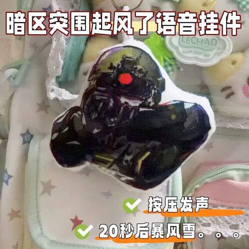 暗区突围20秒后暴风雪语音钥匙扣
