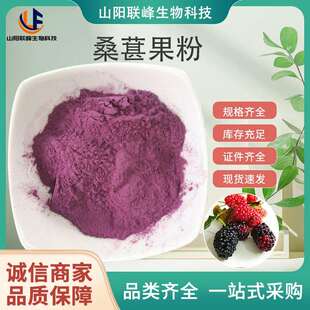 SC桑葚果粉 桑葚果汁粉浓缩干燥桑葚固体饮料原料行业优选货源