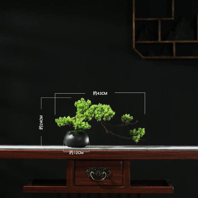 Real Pine Bonsai Lohan Pine Flower Pot Home Welcome Pine Rea