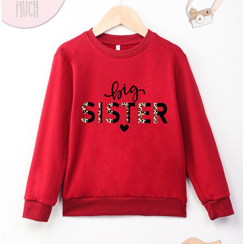 Blue Sweatshirt Kids Comfy  Four SeaosnsHot Sell Print Big S - 实物图