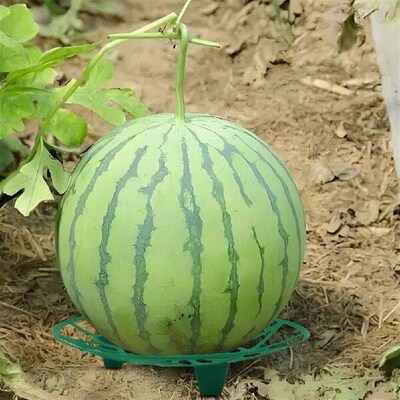 5/10Pcs Watermelon Cradle Anti-Corrosion Fruits Vegetables
