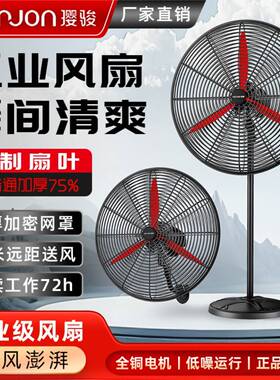 工业除电风扇强醛力33555壁扇功率落地扇扇商用牛角风扇甲大风力