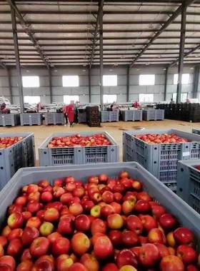 特号塑料水果转筐子塑料菜筐网大筐LQT格卡板箱物流叉车周筐加厚