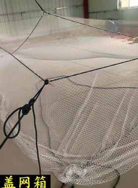 白色尼龙网网箱养鱼箱存鱼鱼池鱼塘水产大鱼养殖网箱专用网箱