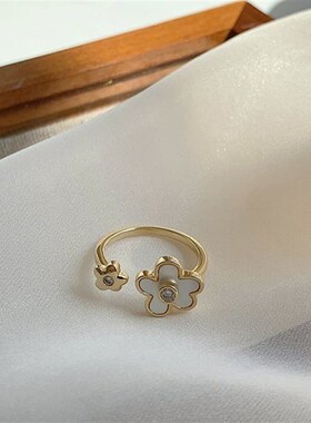 Micro Inlaid Zircon Butterfly Ring Open Personalized Light L