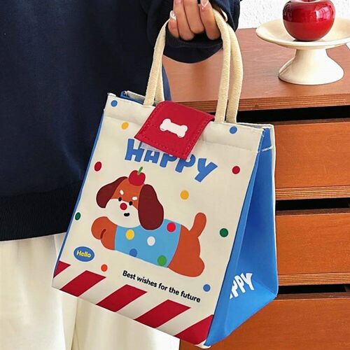 Cute Bento Bag For Office Worker Large Capacity Tote Bag Car