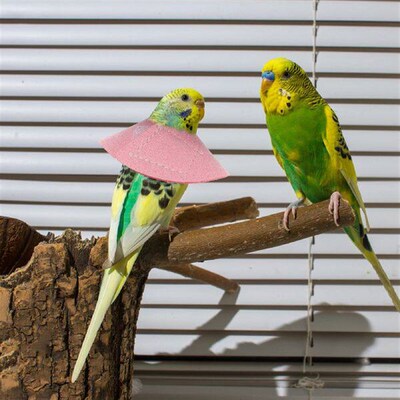 Collar Parrot Bird Cone Elizabethan Neck Bite Anti Pet