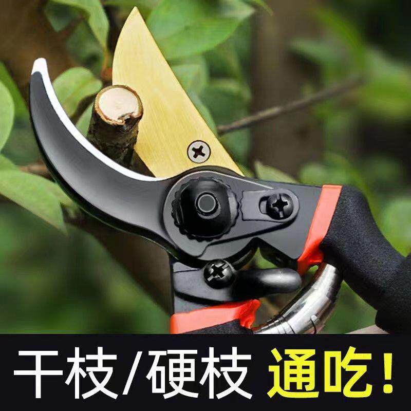 德国进口sk5园艺剪不锈钢省力修剪枝果树粗枝树枝剪子