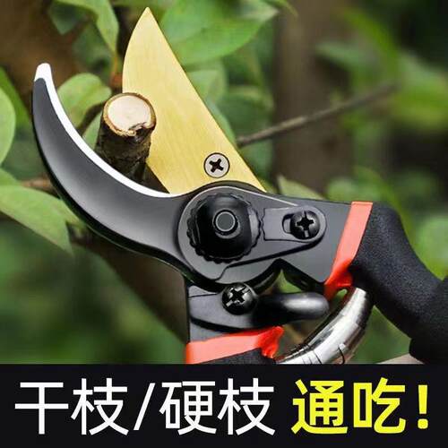 德国进口sk5园艺剪不锈钢省力修剪枝果树粗枝树枝剪子