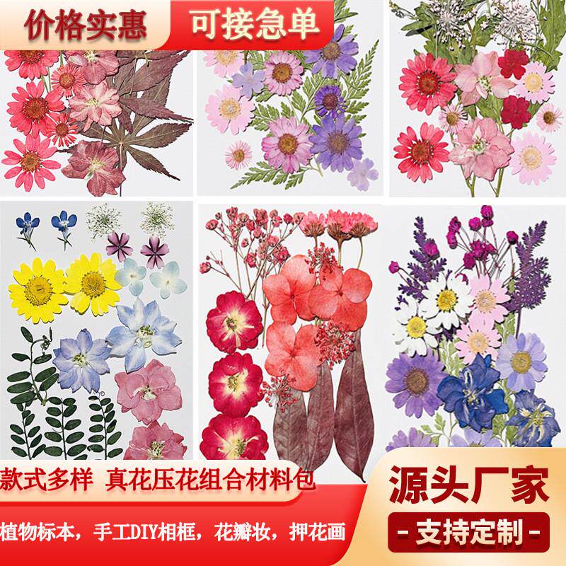 跨境干花压花手工diy材料包滴胶手机壳团扇书签台灯干花押花