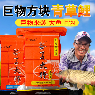 刘志强谷子大师巨物鲢鳙方块饵料窝料青草鲤鱼饵全能窝全能腥香