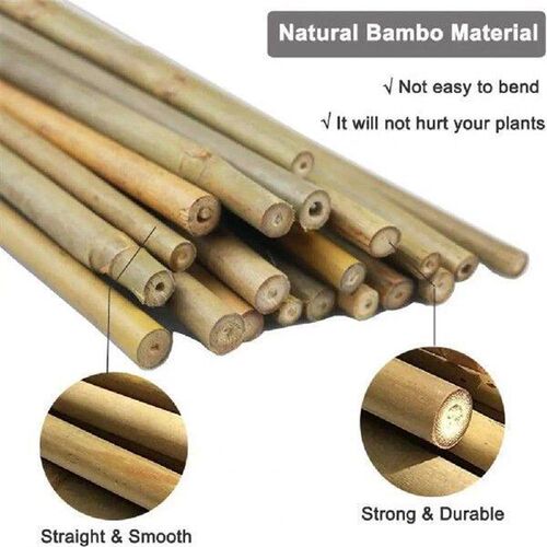 20Pcs Plant Support Frames Anti-break Plant Support Poles