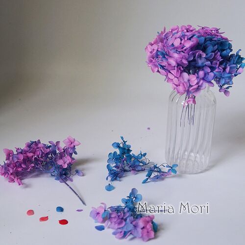 Colorful Preserved Hydrangea Home Decoration Wedding Decorat