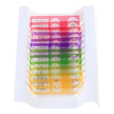 For Kids Plastic Prepared Microscope Slides Insect