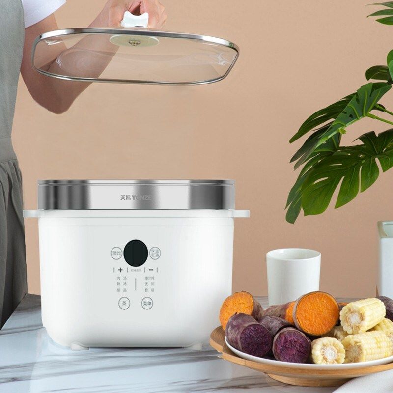 天际电炖炖锅家用蒸汽锅煲汤锅全自动燕窝电炖锅隔水炖L一锅五胆