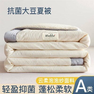 summer quilt comforter duvet blanket beddings bed cover