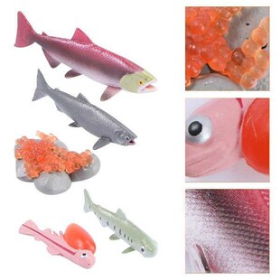 4 Pcs Rayan Toys for Kids Growth Cycle Model Sea Animal