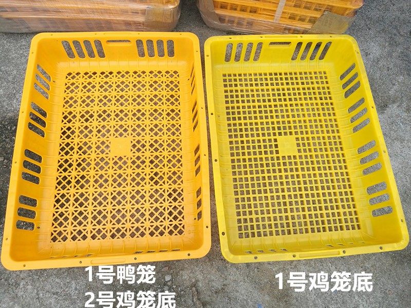成鸡周转箱运输笼周转箱筐成鸡笼鸭笼鹅笼塑料鸡笼子鸡筐运输箱筐,畜牧/养殖物资,畜牧/养殖器械,淘宝优惠券,粉丝福利购,淘宝优惠卷