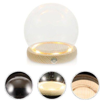 Hand-Made Glass Cover Dome Glowing Home Decor Small Plant