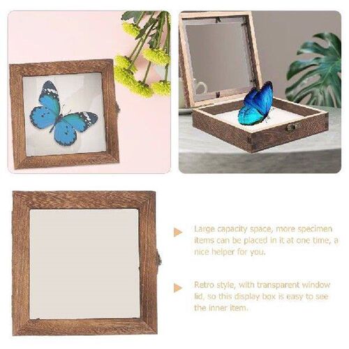 Specimen Frame Case Vintage Display Dried Flower Storage