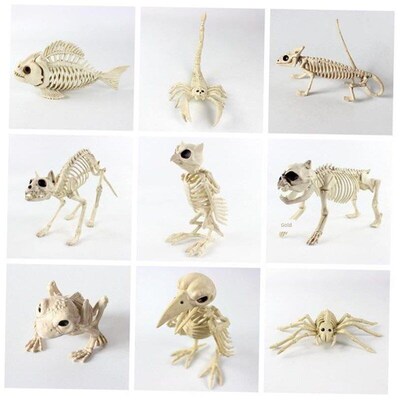 Halloween Horror skull animal skeleton haunted house setup