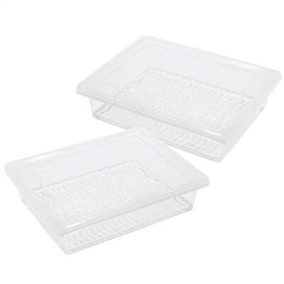 2Pcs Food Storage Containers Airtight Crisper Boxes Drain