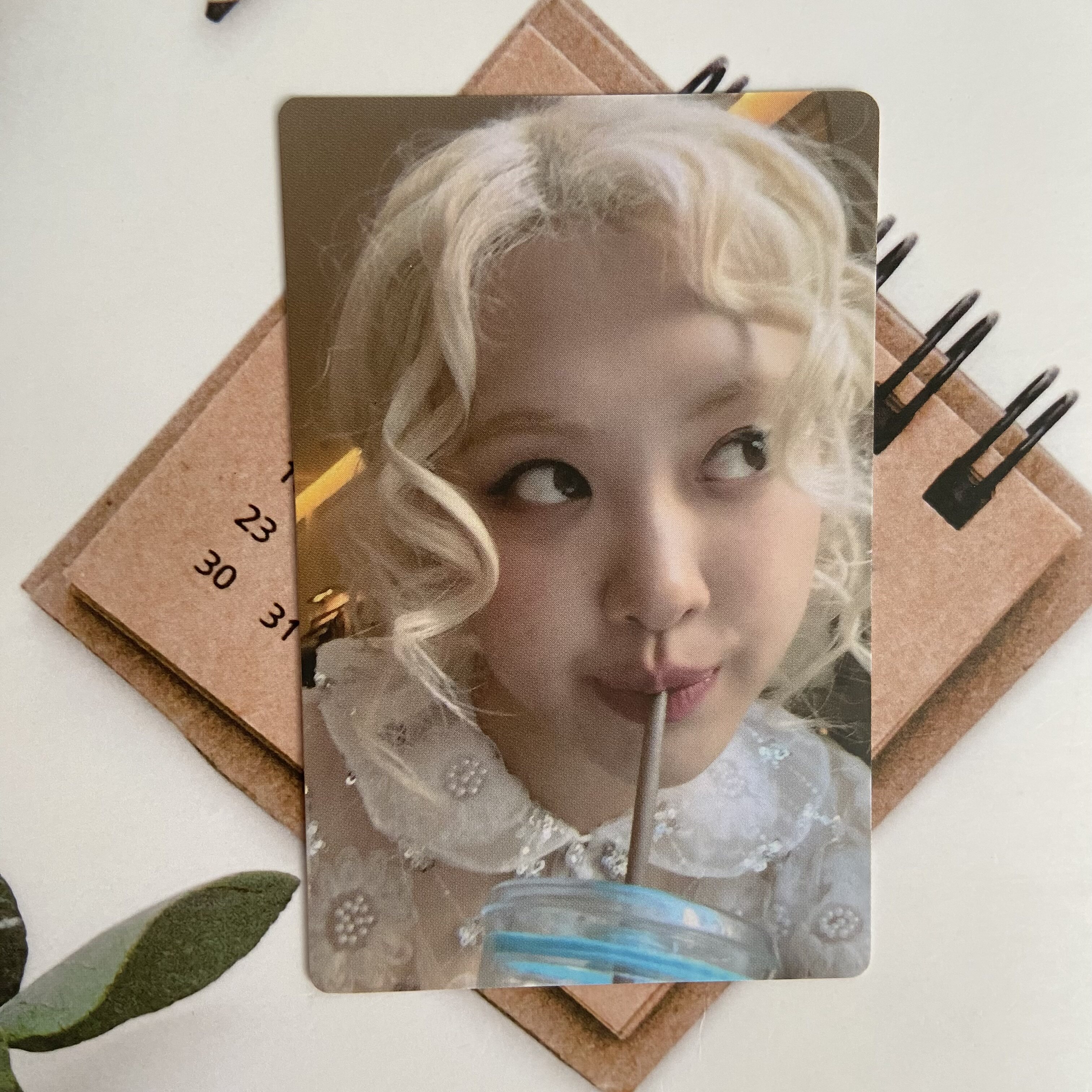 BLACKPINK朴彩英Rose专辑特典卡图片