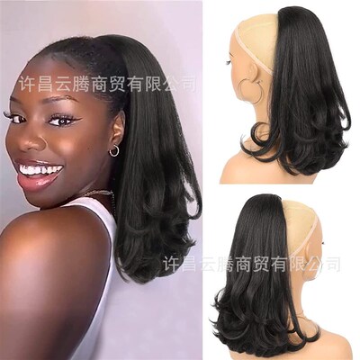 African Fluffy Explosion Head Horsetail Corn Whisker Long Cu