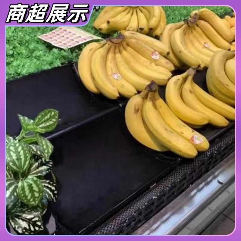 超市香蕉陈列架垫板货架展示弧形香蕉展示架台香蕉摆放底托水果架,商业/办公家具,置物架/陈列架/储物架/展示架,淘宝优惠券,粉丝福利购,淘宝优惠卷