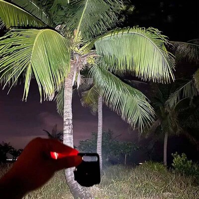 Mini LED Keychain Flashlights Multifunctional Portable COB W