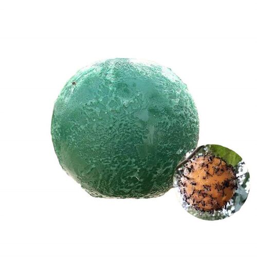 1-5pcs Gnat Traps Flying Insects Traps Ball Fruit Fly