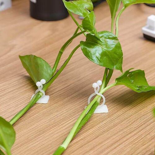Green Vine Climbing Wall Magic Tool, Self-Adhesive Plant Fix