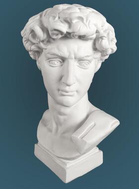 大头像石膏美教具石膏物像模卫具素描静写HY-SGDW生术器材立体