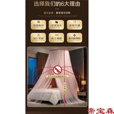 Bedside Double-layer Mosquito Net Bed Curtain Integrated Bla