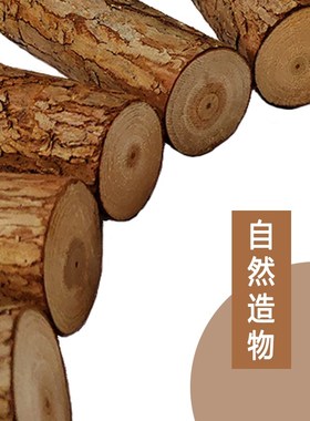 杉木原木头树杆树段造景装饰造型围栏营地实木架子篱笆栅栏支撑杆