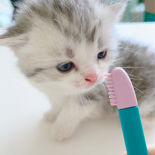 Pet Comb Tear Stain Brush Handheld Cat Eye Wipe Rub Eyes Poo