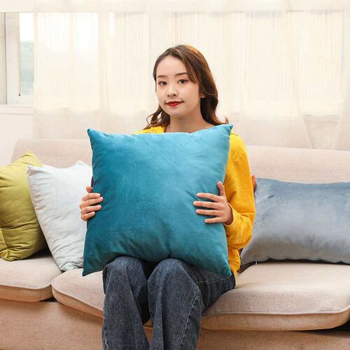 Dutch velvet throw pillow Velvet cushion sofa pillow car wai