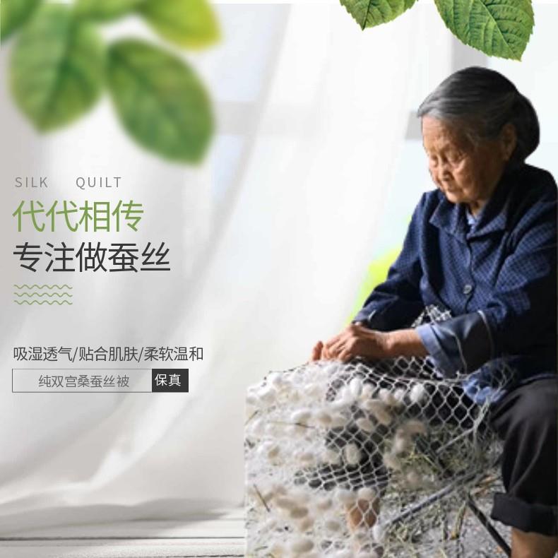手工双宫蚕丝被胎纯桑蚕丝被子母被夏凉被春秋被冬被加厚丝绵