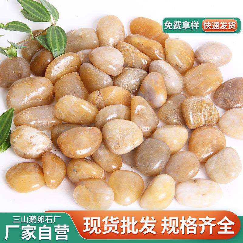 黄色抛光鹅卵石 工程铺路黄色石头园林景观鱼缸造景雨花石厂家