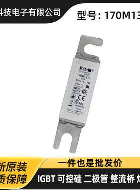 170M6597 170M6598 170M6599原装电压熔断器 保险丝 巴斯曼