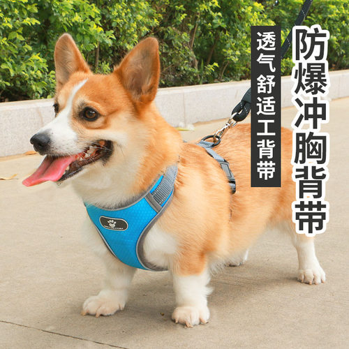 狗狗胸背带牵引绳背心式背带防爆冲中型犬宠物用品柯基项圈小型犬