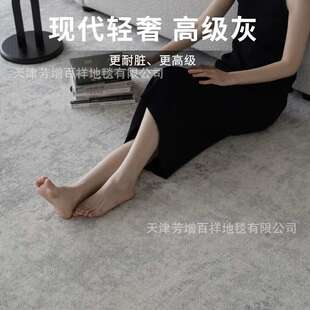 土耳其丙纶客厅地毯高级灰色沙发茶几毯极简现代轻奢满铺卧室毯