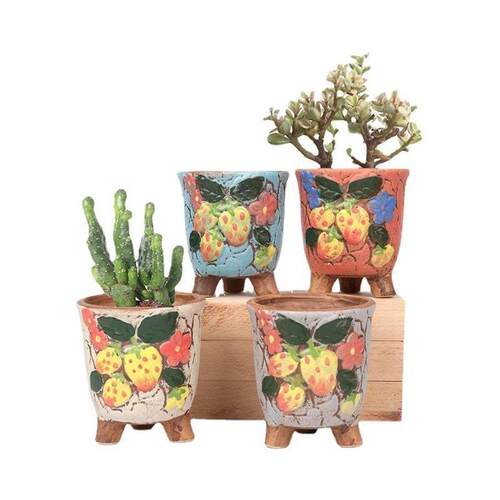 Fleshy Flower Pot Handpainted European Style Simple Persona