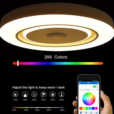 300W 50cm Modern RGB LED Ceiling Lights Home Lighting APP bl