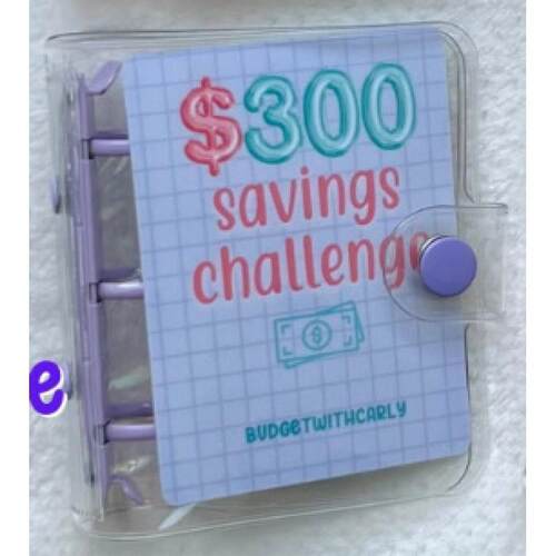Mini Binder Savings Challenge budget planner money organizer